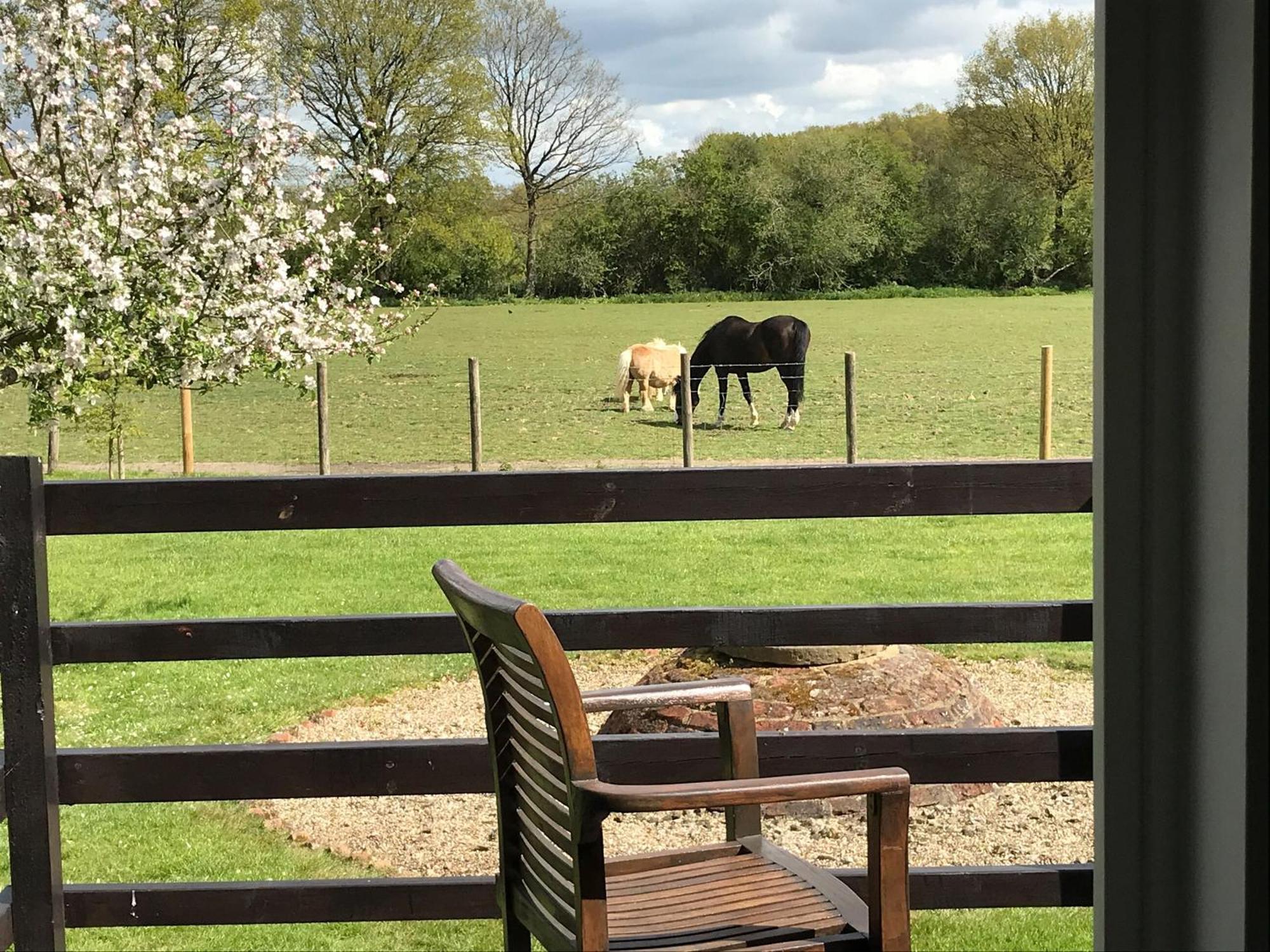 Maplehurst Barn Stables Staplehurst Dış mekan fotoğraf